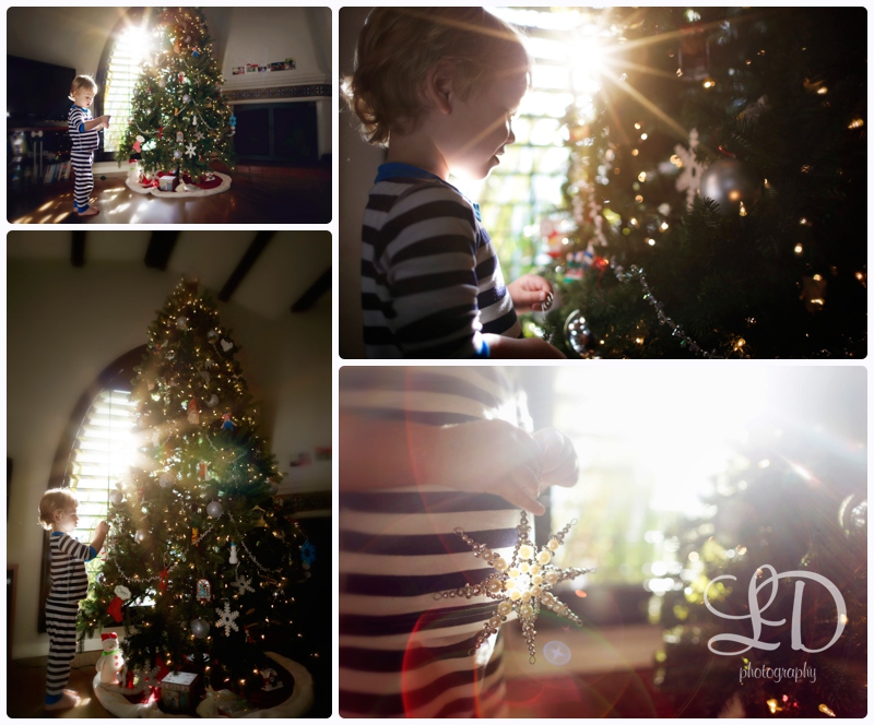 blog_0385.jpg blog_0385.jpg