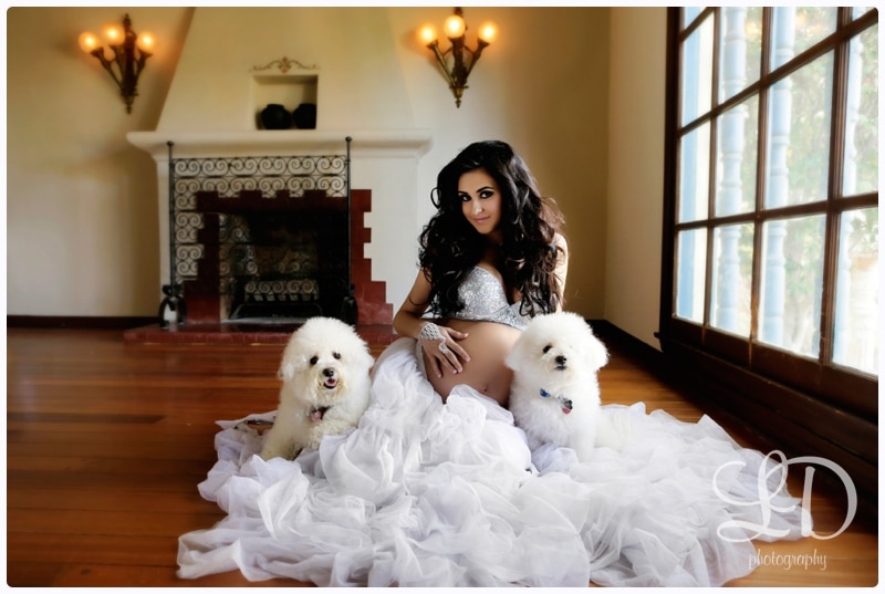 blog_0650.jpg blog_0650.jpg