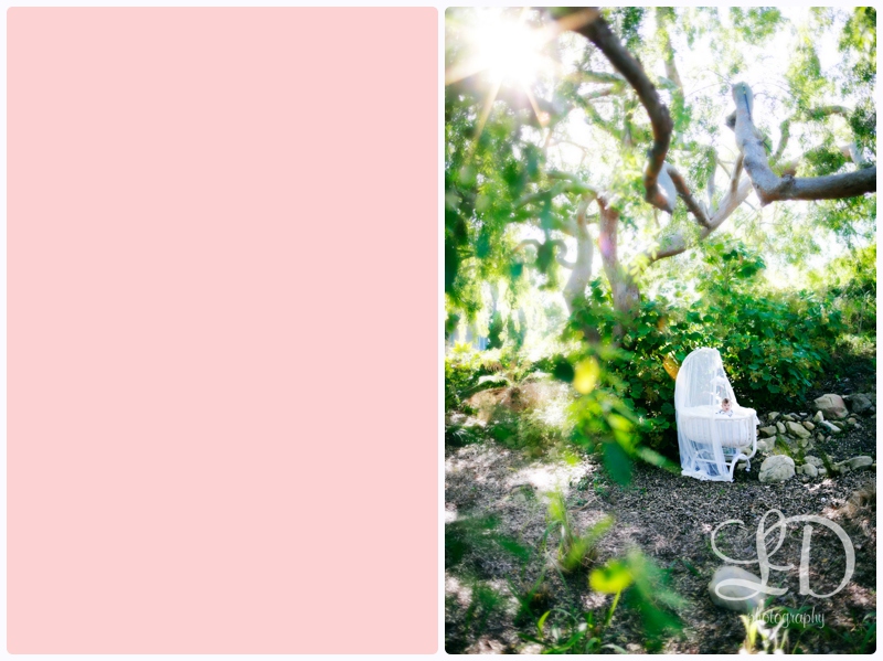 blog_1766.jpg blog_1766.jpg