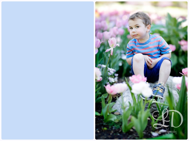 blog_2557.jpg blog_2557.jpg