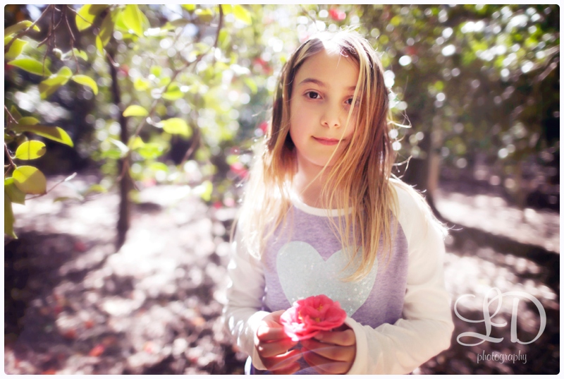 blog_2571.jpg blog_2571.jpg