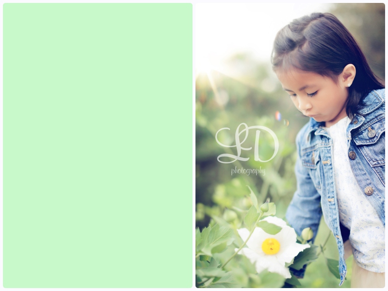 blog_2689.jpg blog_2689.jpg