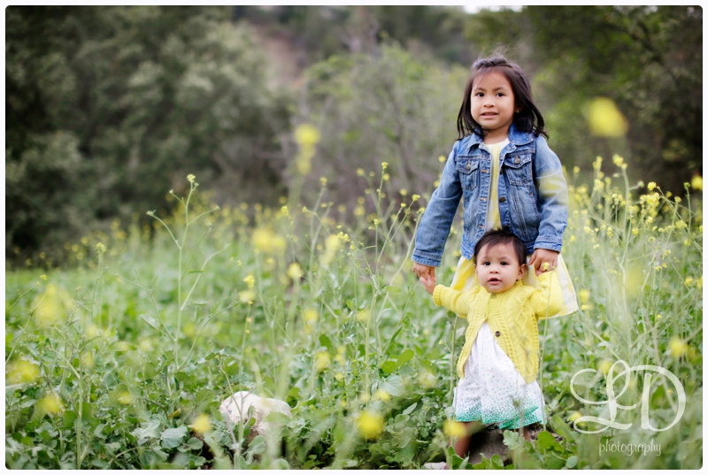 blog_2701.jpg blog_2701.jpg