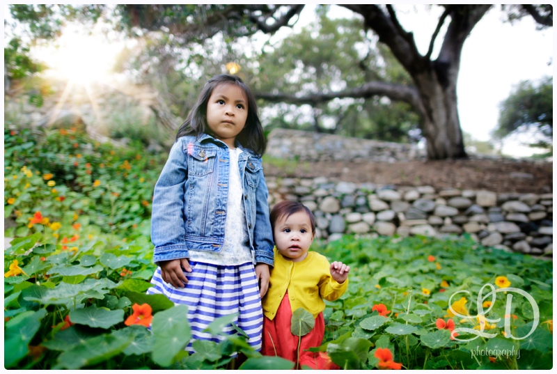 blog_2706.jpg blog_2706.jpg