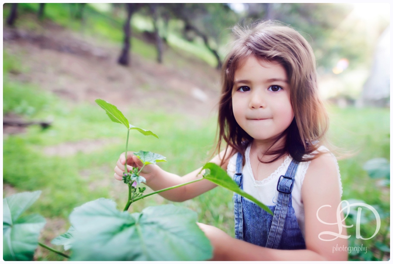 blog_2734.jpg blog_2734.jpg