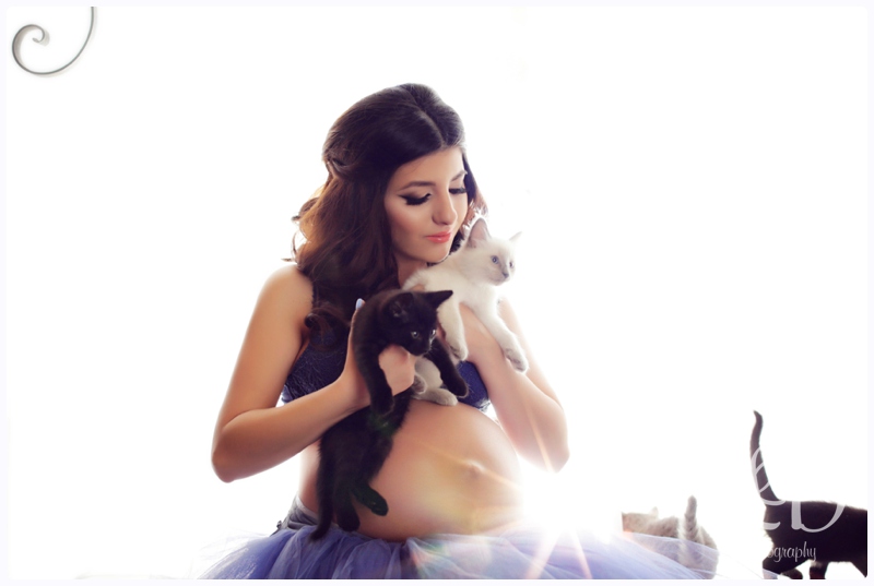 blog_3665.jpg blog_3665.jpg