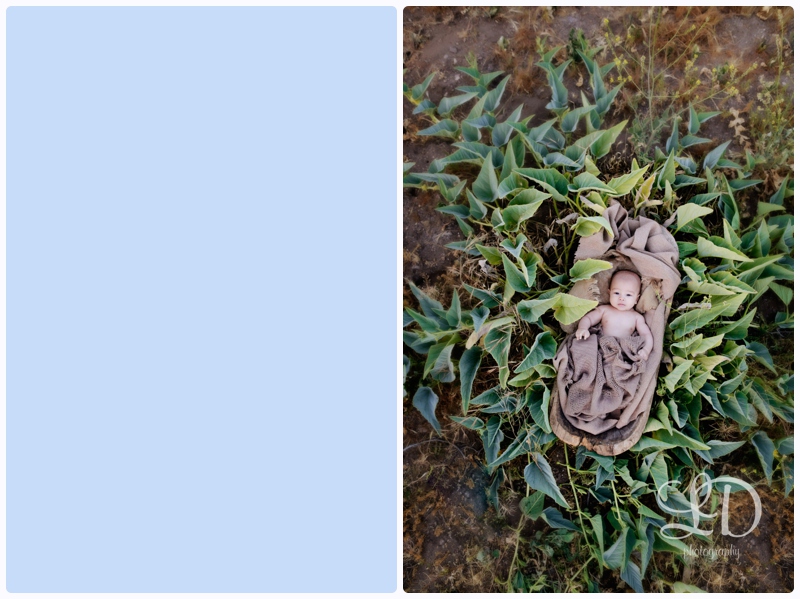 blog_3977.jpg blog_3977.jpg