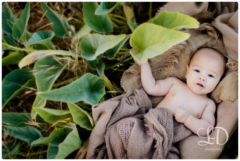 blog_3991.jpg blog_3991.jpg