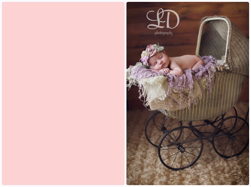 blog_4537.jpg blog_4537.jpg