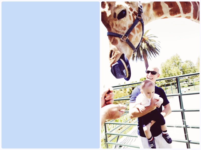 blog_4651.jpg blog_4651.jpg