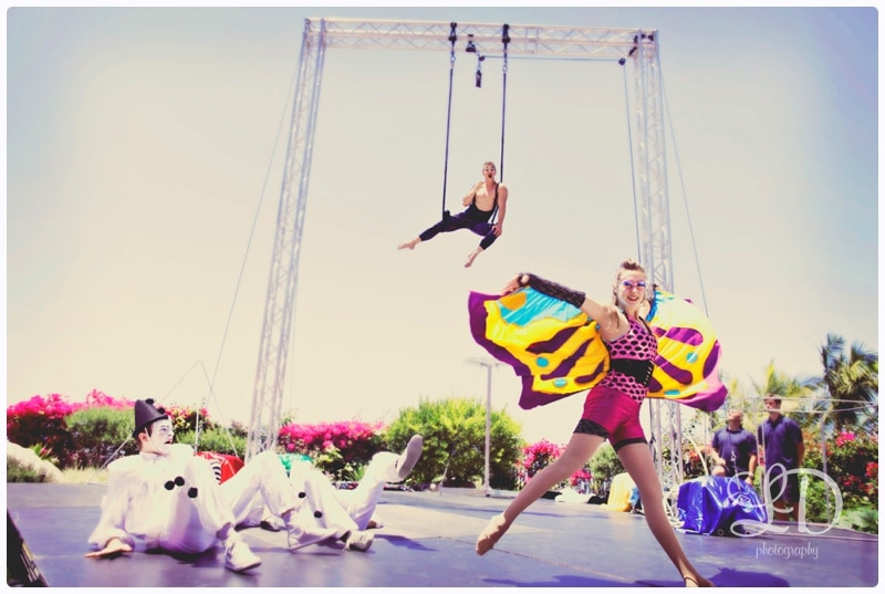 blog_4658.jpg blog_4658.jpg