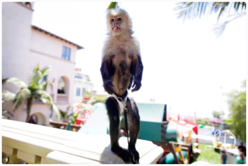 blog_4662.jpg blog_4662.jpg