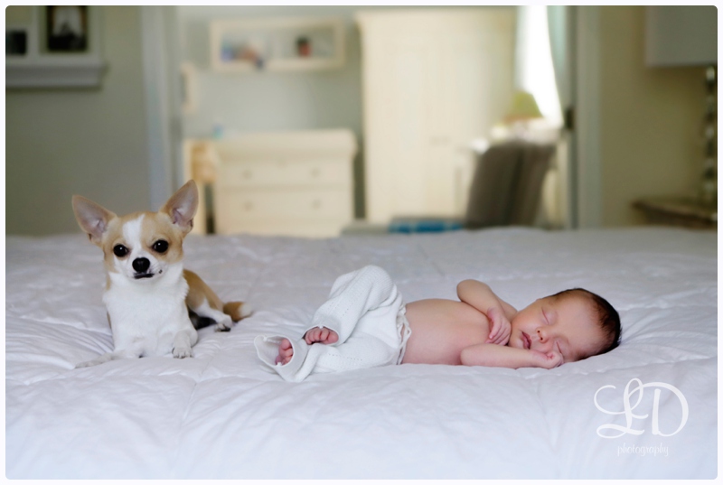 blog_6611.jpg blog_6611.jpg