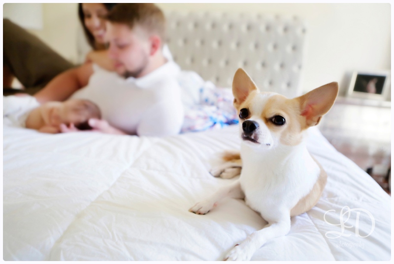 blog_6613.jpg blog_6613.jpg