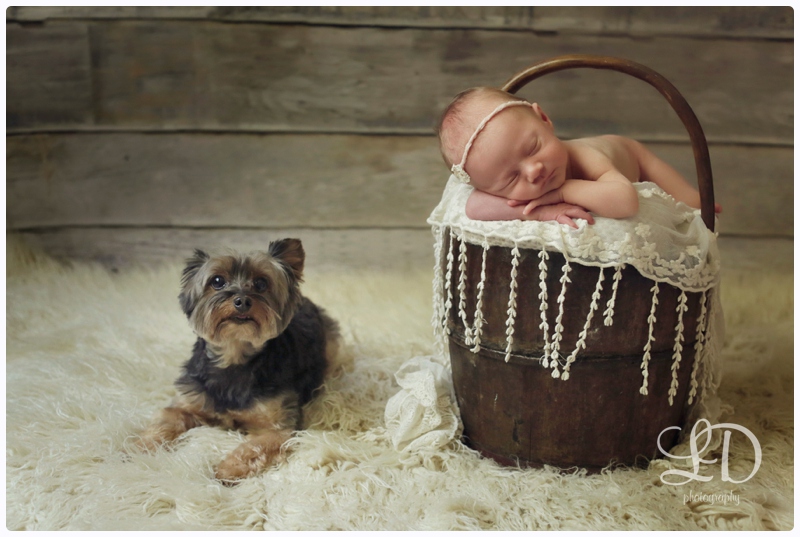 blog_7068.jpg blog_7068.jpg