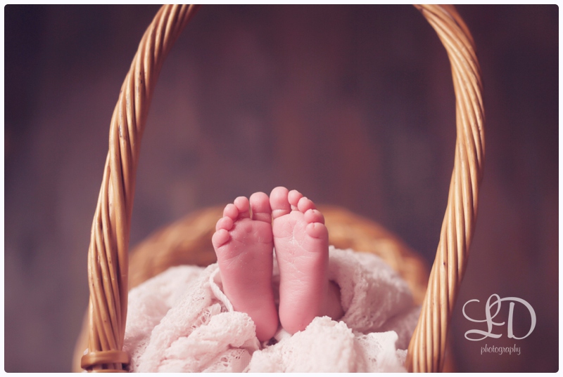 blog_7133.jpg blog_7133.jpg