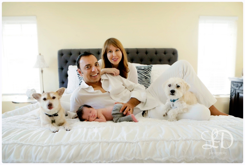 blog_2802.jpg blog_2802.jpg