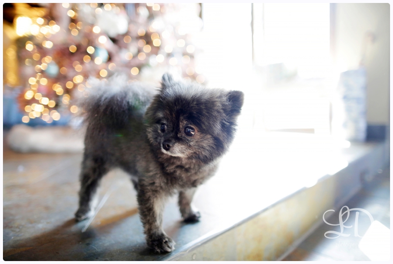 blog_2981.jpg blog_2981.jpg