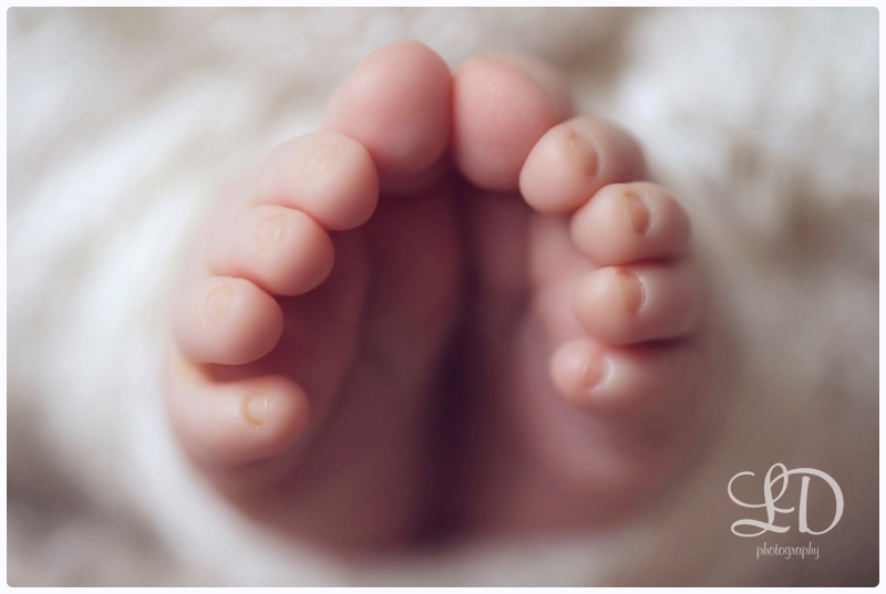 blog_4091.jpg blog_4091.jpg