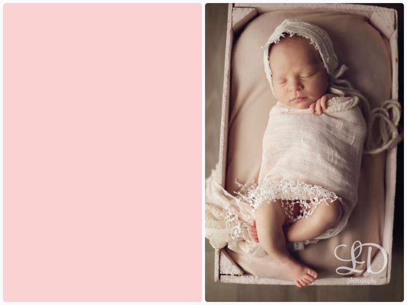 blog_4446.jpg blog_4446.jpg