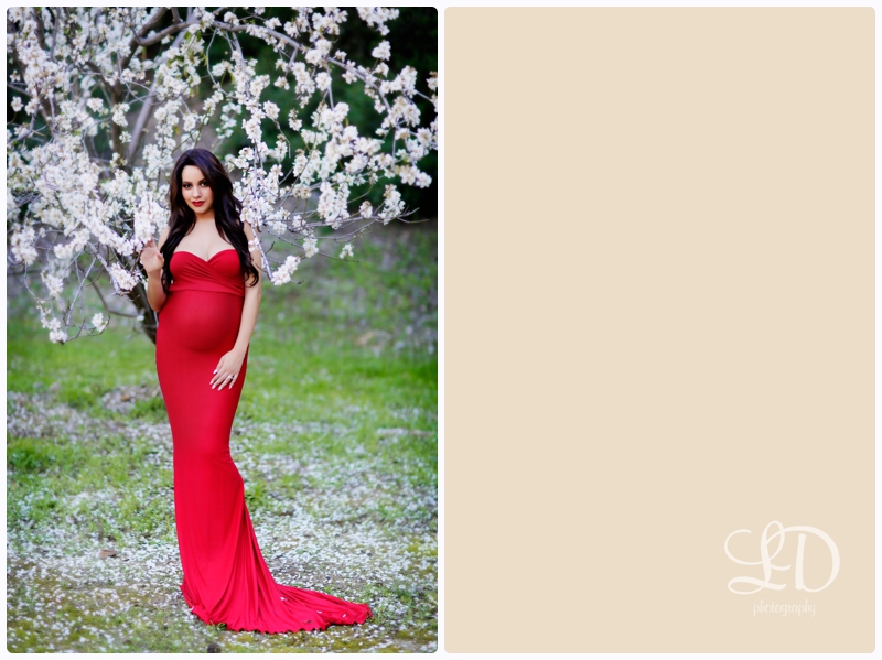 blog_4511.jpg blog_4511.jpg