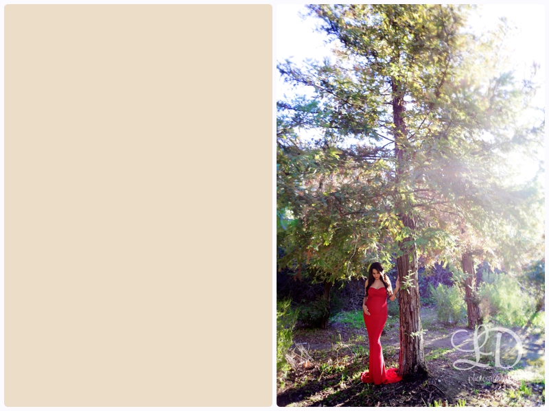 blog_4516.jpg blog_4516.jpg