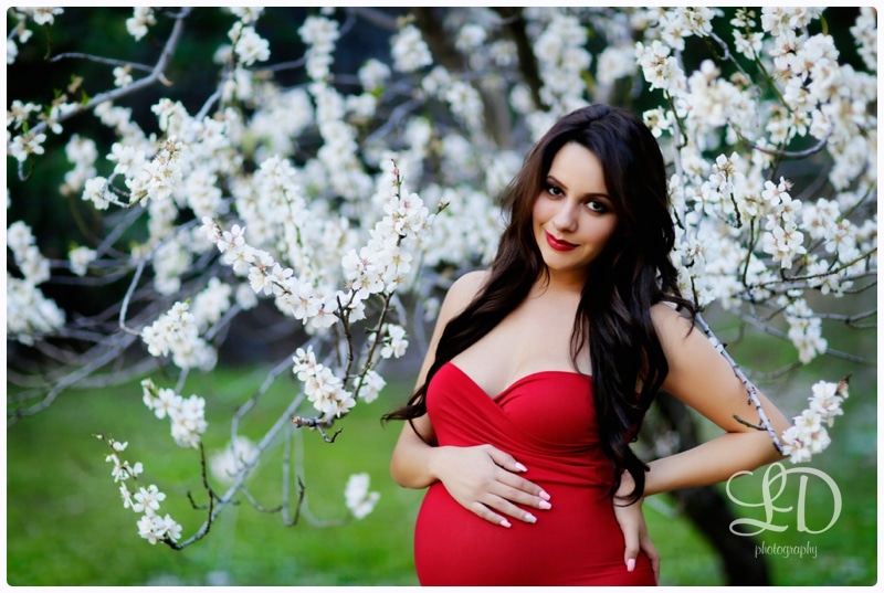 blog_4528.jpg blog_4528.jpg