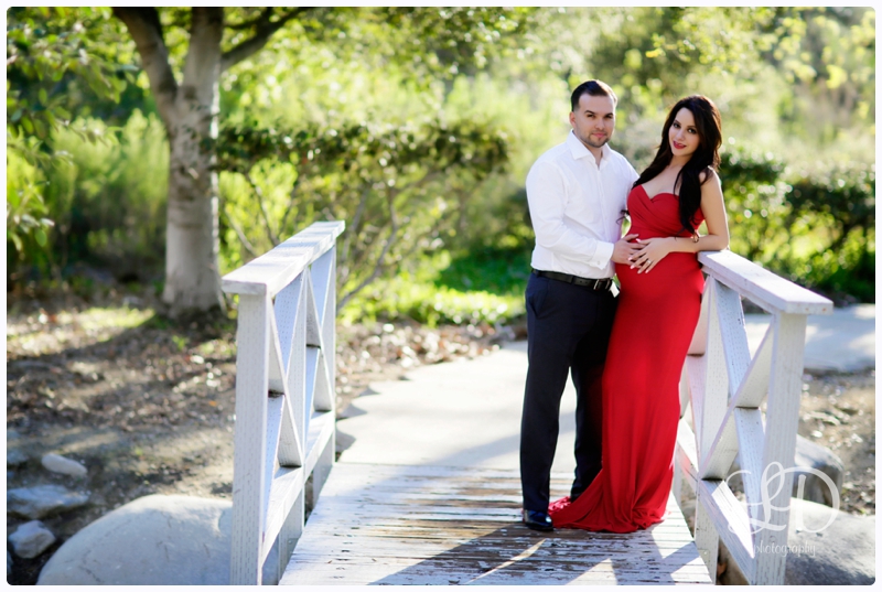 blog_4529.jpg blog_4529.jpg