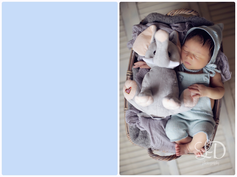 blog_5113.jpg blog_5113.jpg