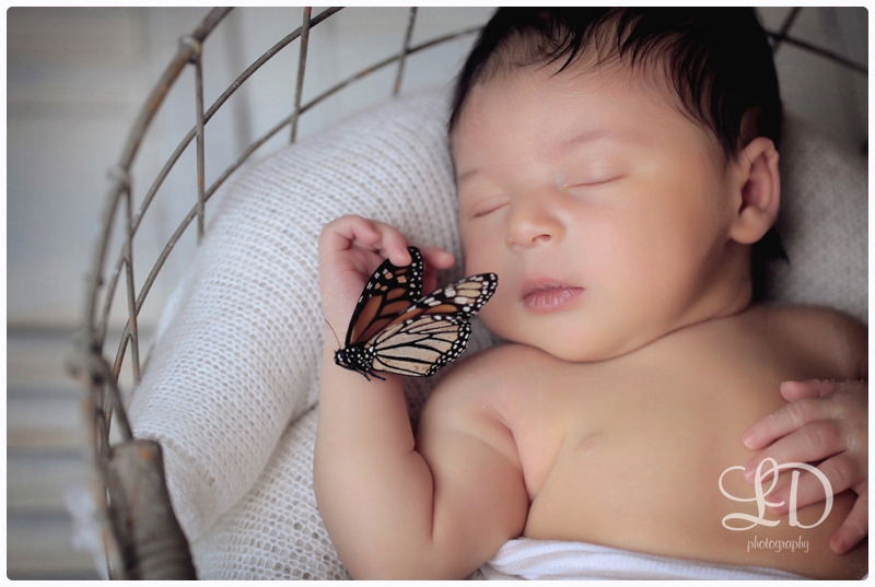 blog_5137.jpg blog_5137.jpg