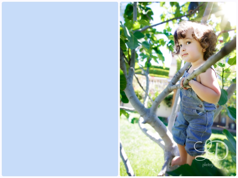 blog_7100.jpg blog_7100.jpg