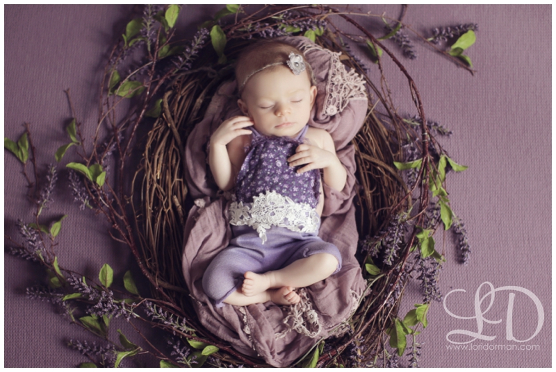 2016-02-26_0133.jpg 2016-02-26_0133.jpg