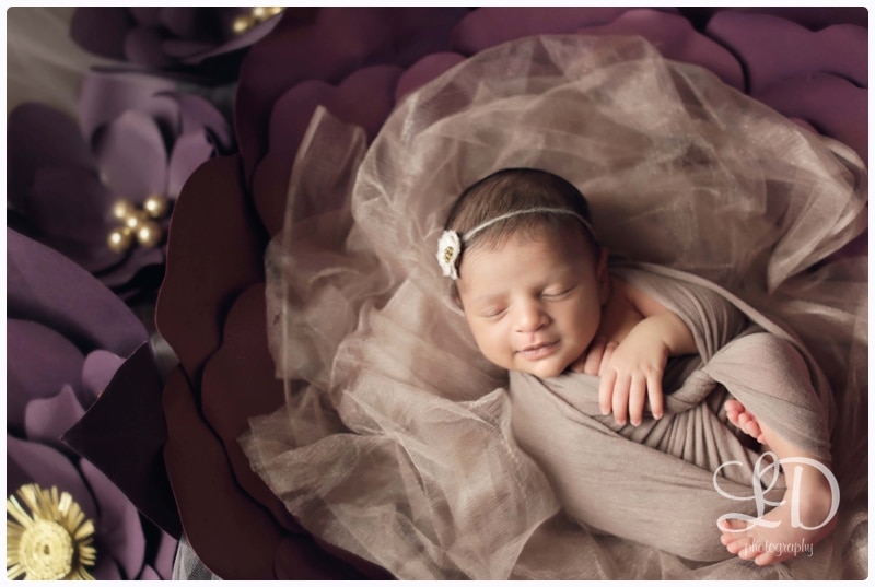 blog_3503.jpg blog_3503.jpg