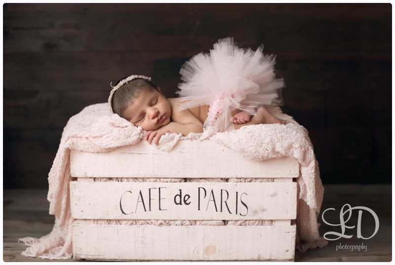 blog_3508.jpg blog_3508.jpg