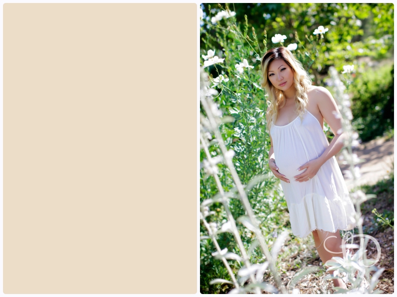 blog_4147.jpg blog_4147.jpg