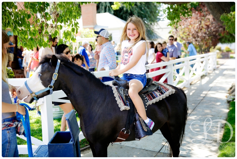 blog_7029.jpg blog_7029.jpg