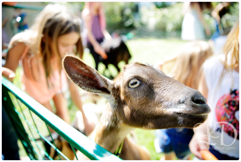 blog_7030.jpg blog_7030.jpg