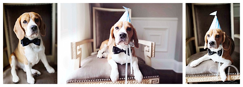 2017-04-11_0007.jpg 2017-04-11_0007.jpg