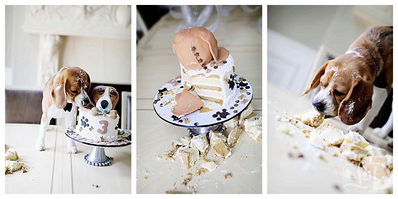 2017-04-11_0008.jpg 2017-04-11_0008.jpg