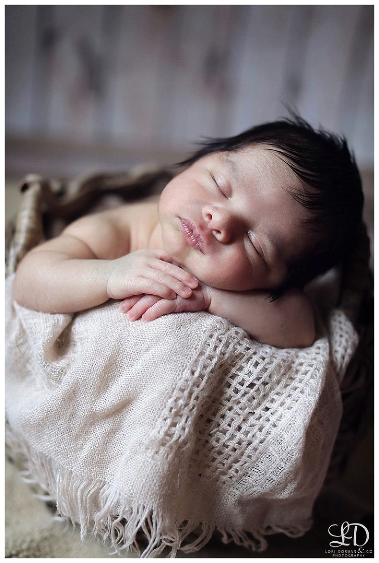 lori-dorman-photography-spring-family-maternity-newborn_0078.jpg