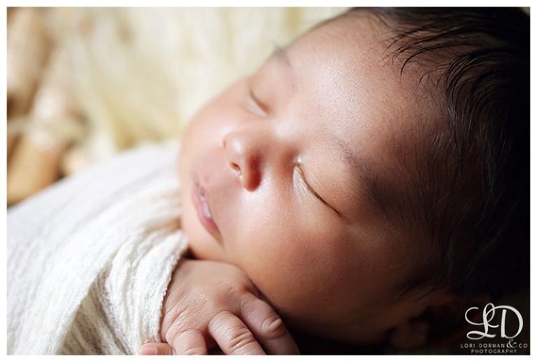lori-dorman-photography-spring-family-maternity-newborn_0149.jpg