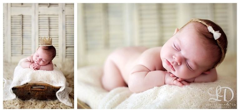 lori-dorman-photography-spring-family-maternity-newborn_0410.jpg