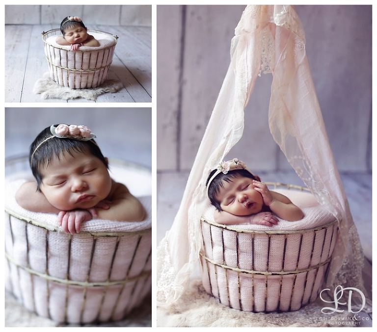 lori-dorman-photography-spring-family-maternity-newborn_0552.jpg