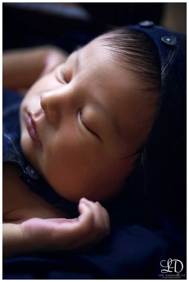 lori-dorman-photography-spring-family-maternity-newborn_0597.jpg