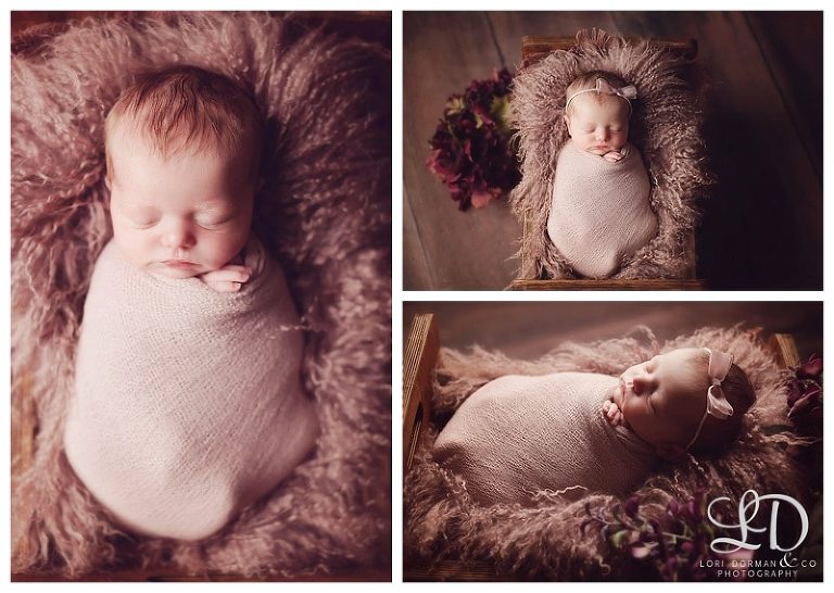 lori-dorman-photography-spring-family-maternity-newborn_0776.jpg