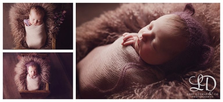 lori-dorman-photography-spring-family-maternity-newborn_0777.jpg