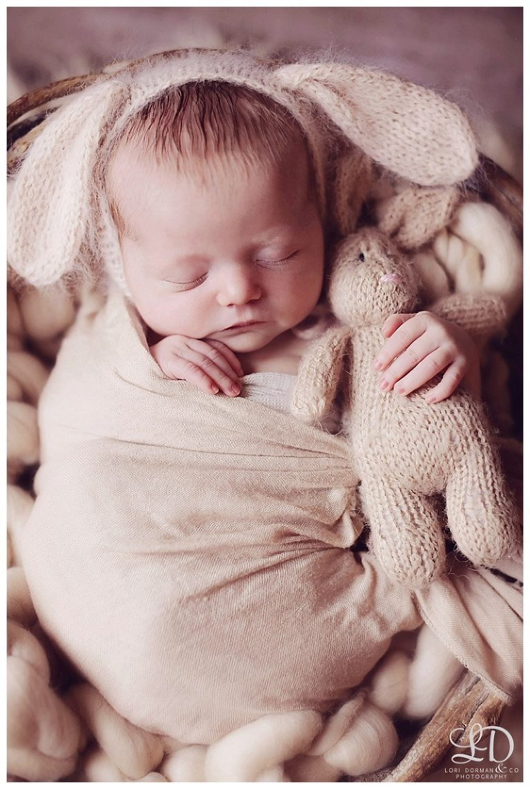 lori-dorman-photography-spring-family-maternity-newborn_0779.jpg