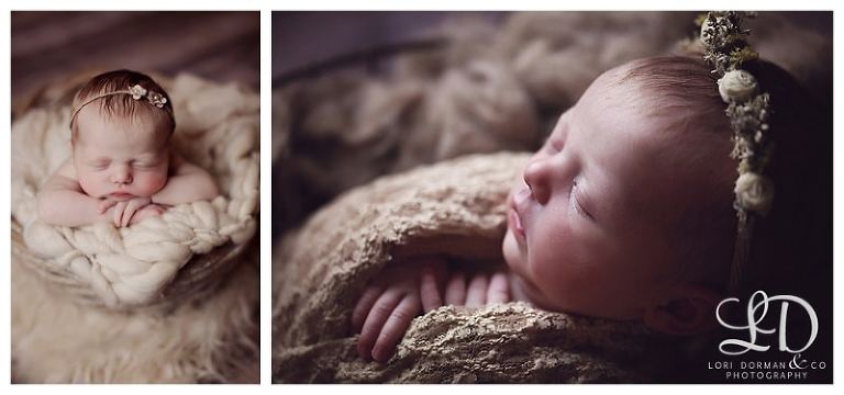 lori-dorman-photography-spring-family-maternity-newborn_0780.jpg