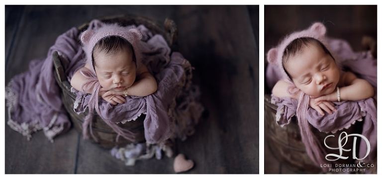 lori-dorman-photography-spring-family-maternity-newborn_0795.jpg