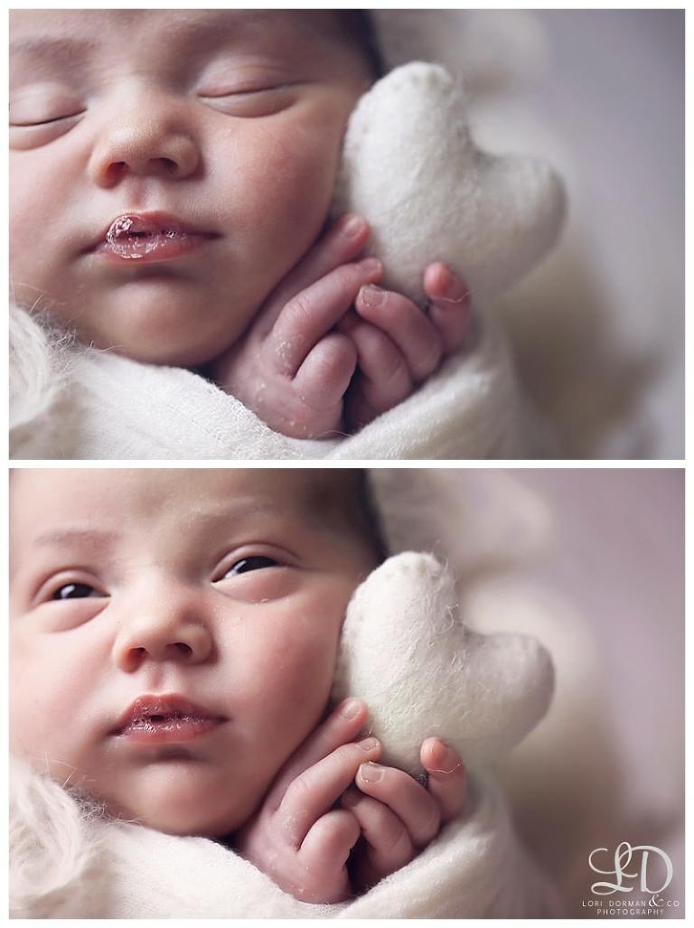 lori-dorman-photography-spring-family-maternity-newborn_0804.jpg